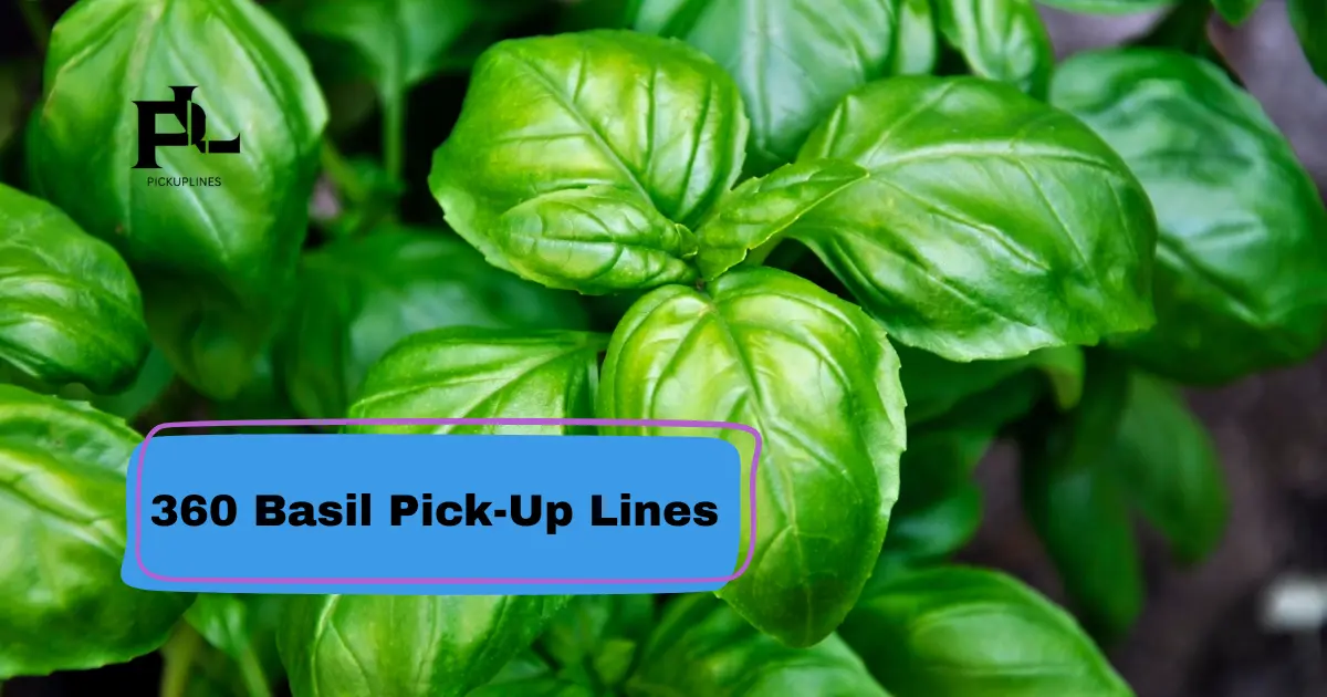 Basil Pick-Up Lines