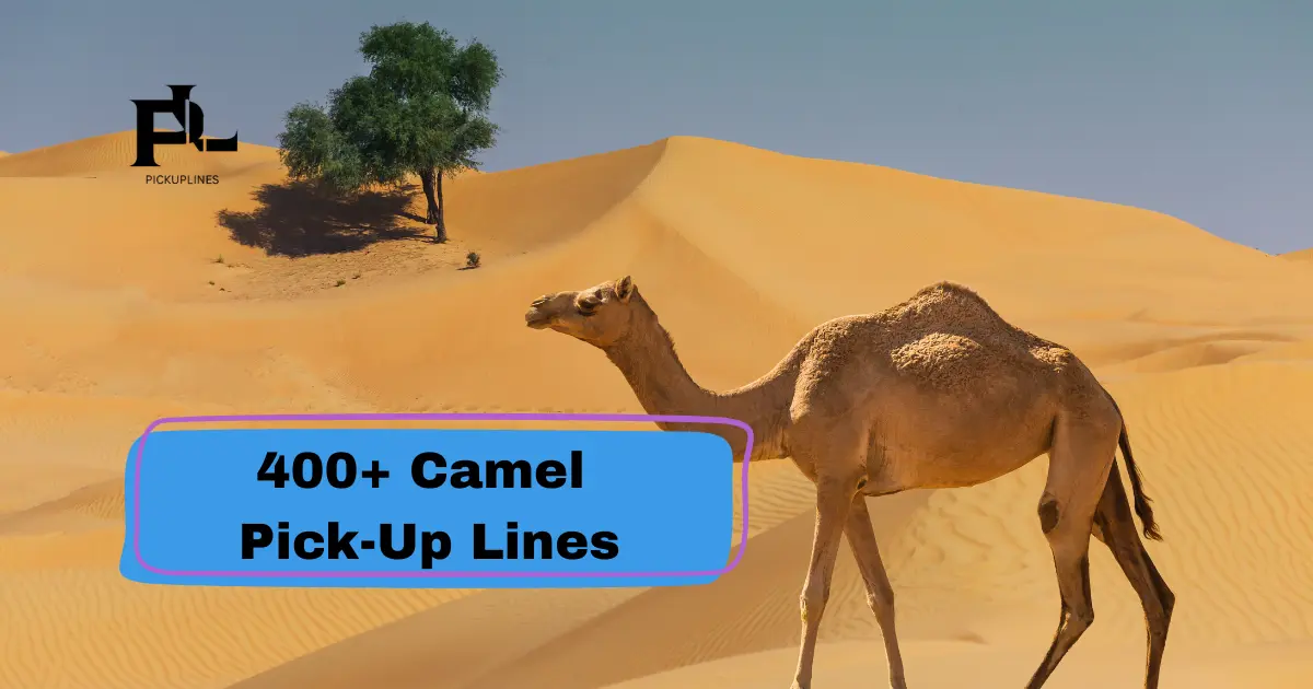 Camel Pick-Up Lines