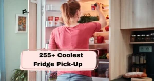 Coolest Fridge Pick-Up