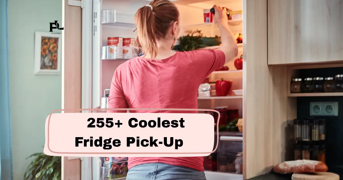Coolest Fridge Pick-Up