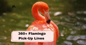 Flamingo Pick-Up Lines