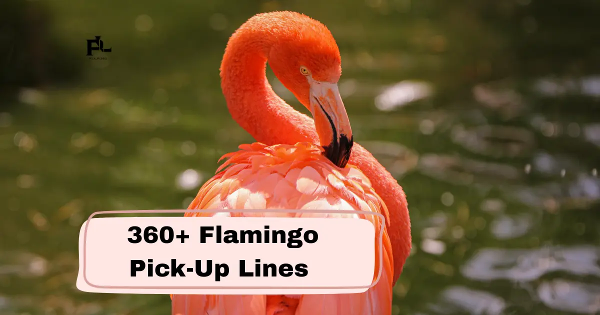 Flamingo Pick-Up Lines