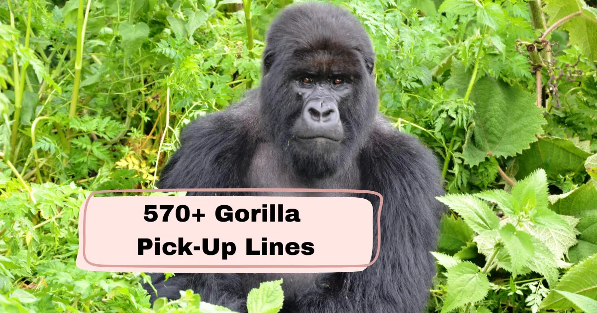 Gorilla Pick-Up Lines