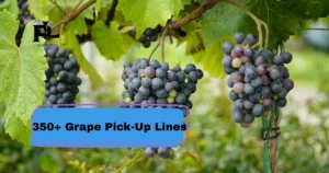 Grape_Pick-Up_Lines