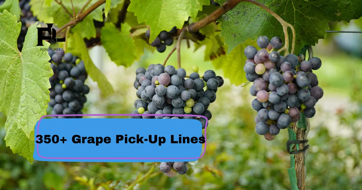 Grape_Pick-Up_Lines
