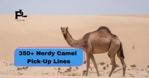 Nerdy Camel Pick-Up Lines