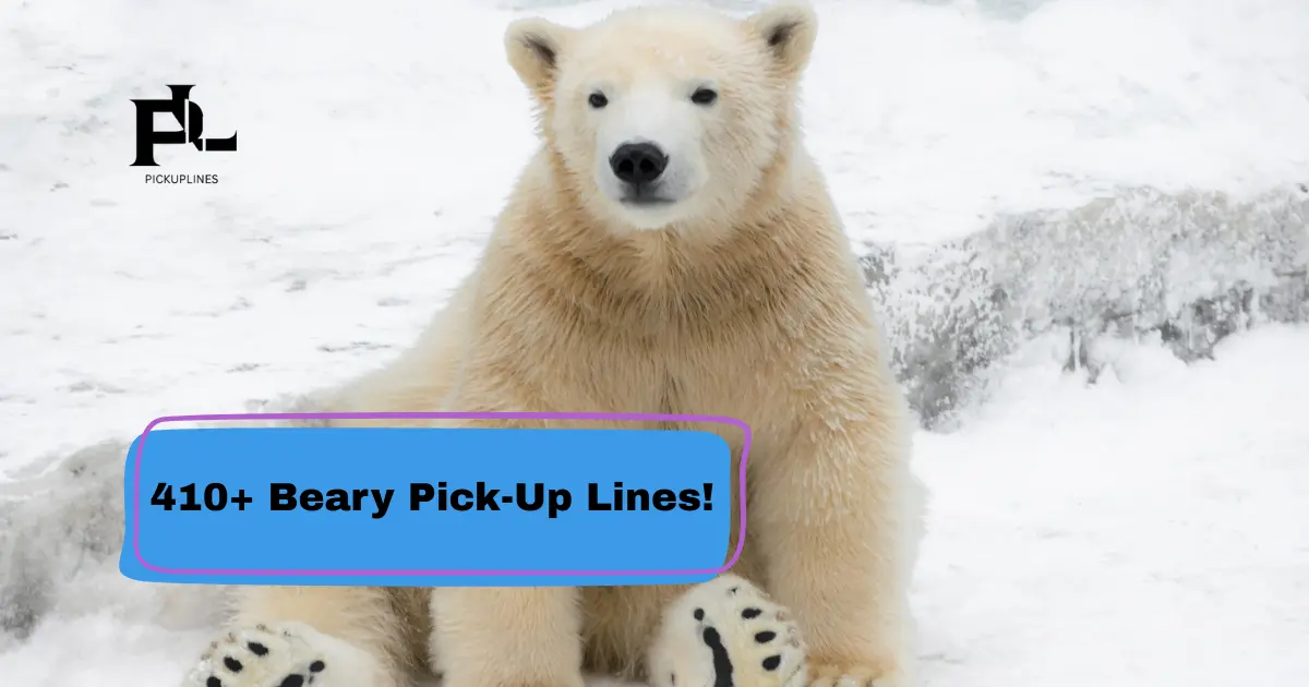 Beary_Pick-Up_Lines