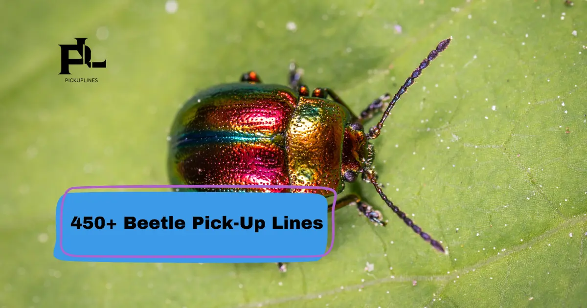 Beetle Pick-Up Lines