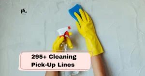 Cleaning Pick-Up Lines