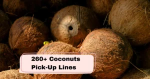 Coconuts Pick-Up Lines