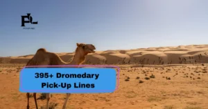Dromedary Pick-Up Lines