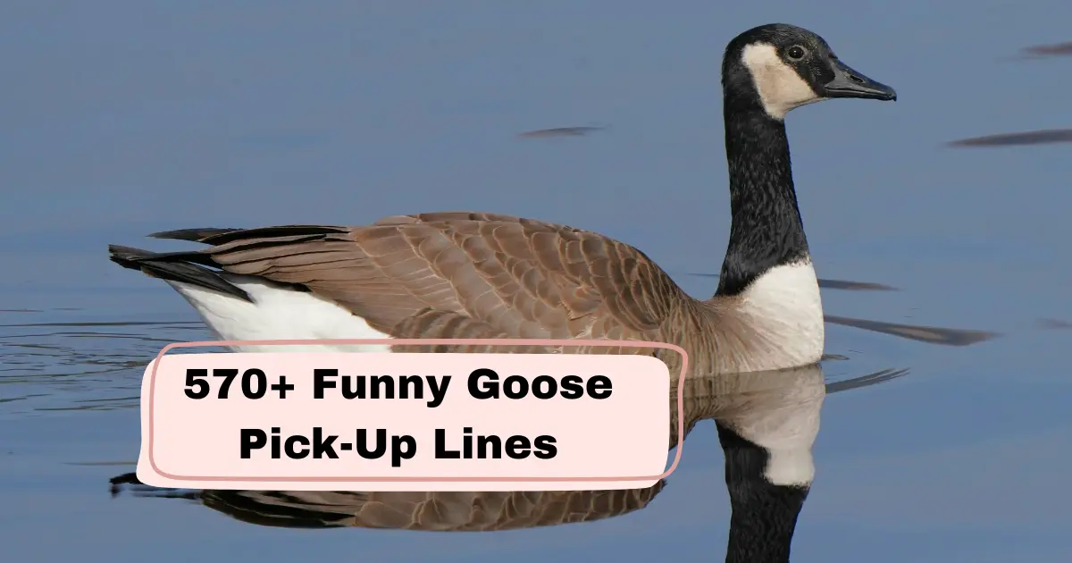 Funny_Goose_Pick-Up_Lines
