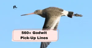 Godwit_Pick-Up_Lines