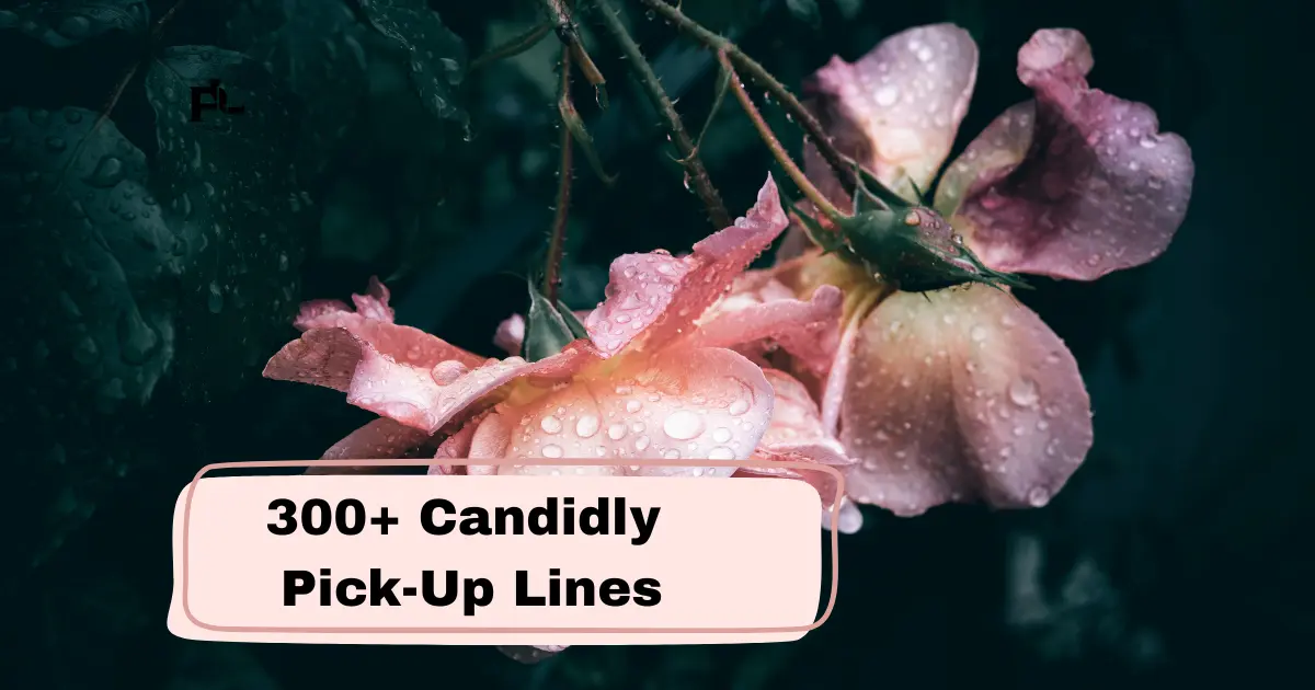 Candidly Pick-Up Lines