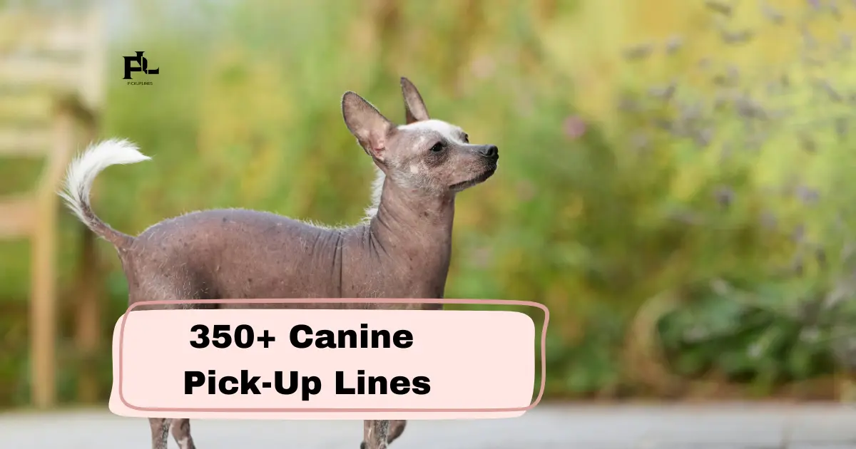 Canine Pick-Up Lines