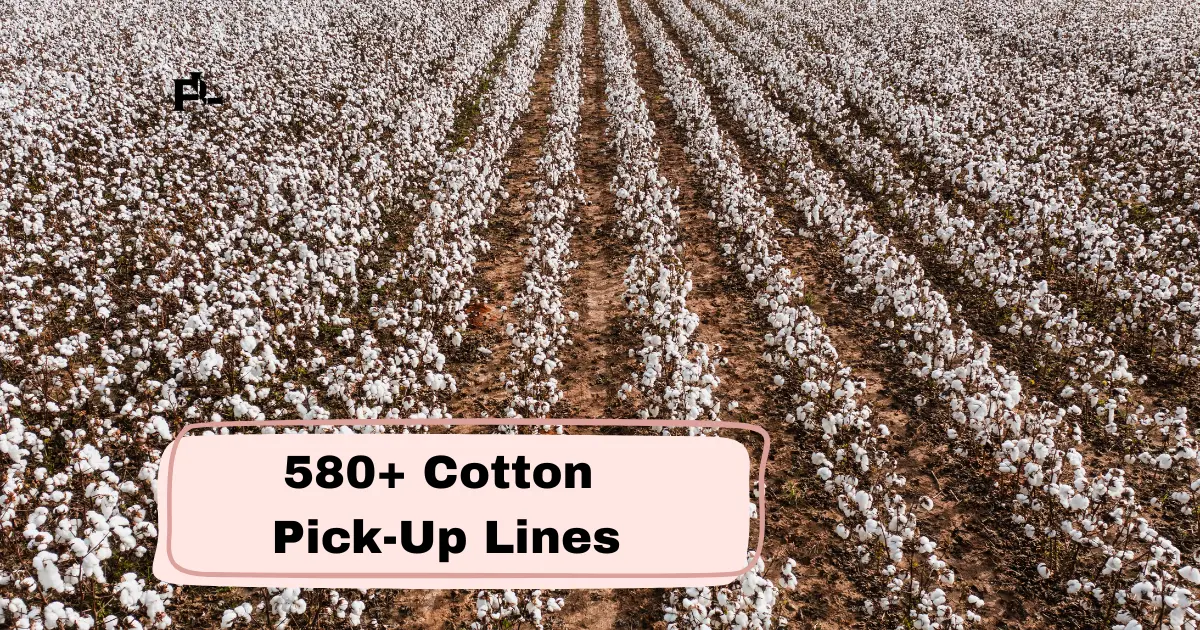 Cotton Pick-Up Lines