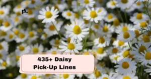 Daisy Pick-Up Lines