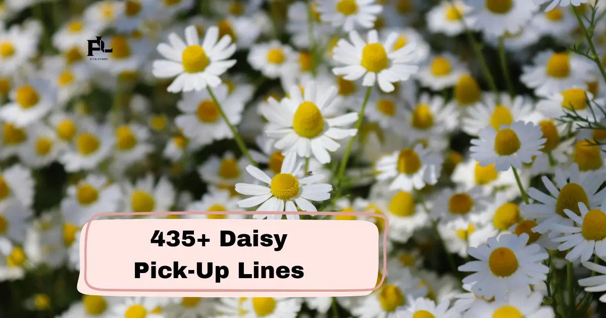 Daisy Pick-Up Lines