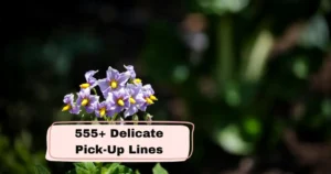 Delicate Pick-Up Lines