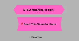 STSU Meaning in Text