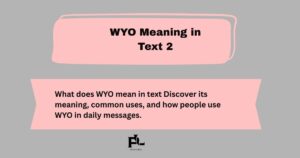 WYO Meaning in Text 2