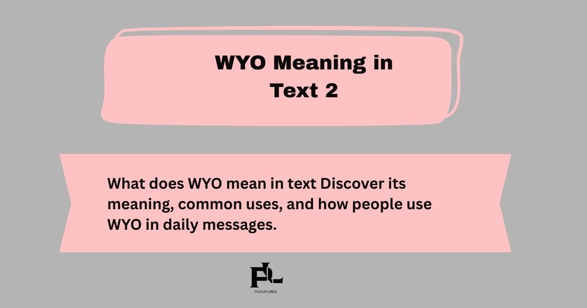 WYO Meaning in Text 2