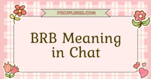 BRB Meaning in Chat