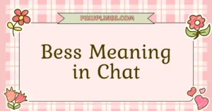 Bess Meaning in Chat