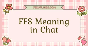 FFS Meaning in Chat