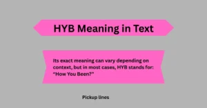 HYB Meaning in Text