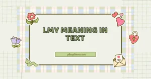 LMY Meaning in Text