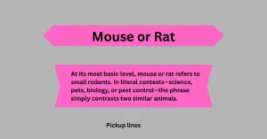 Mouse or Rat