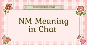 NM Meaning in Chat