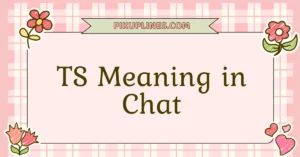 TS Meaning in Chat