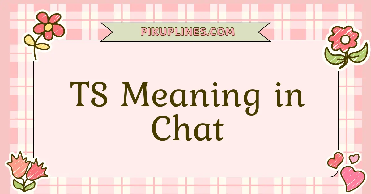TS Meaning in Chat