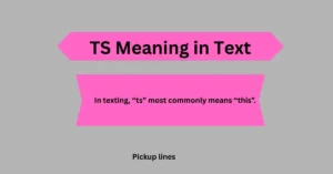 TS Meaning in Text