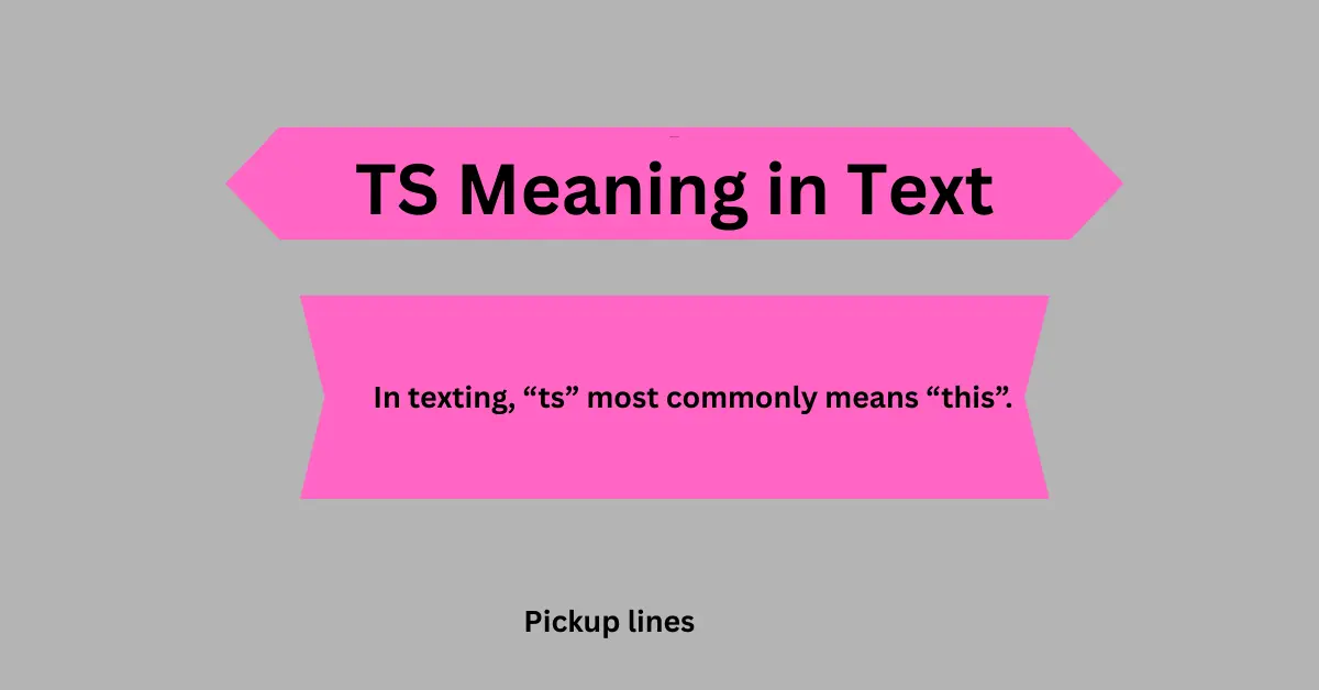 TS Meaning in Text