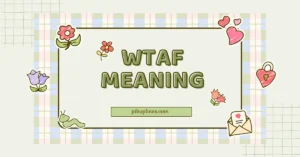 WTAF Meaning