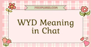 WYD Meaning in Chat