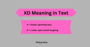 XD Meaning in Text