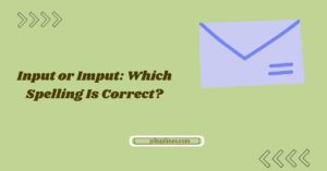 Input or Imput